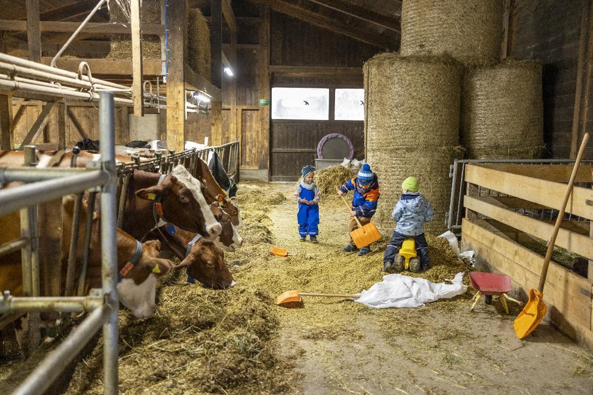 Bauernhofspielgruppe Steinenbühl