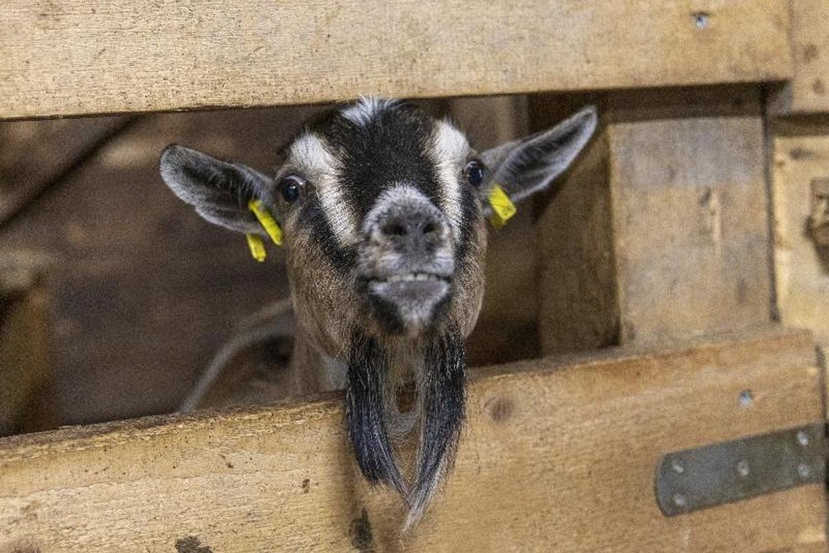 Kennenlernen, Kontakt & Anmeldung