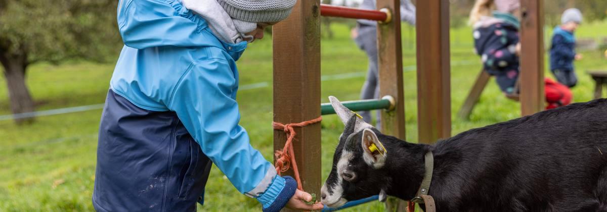 Bauernhofspielgruppe Steinenbühl