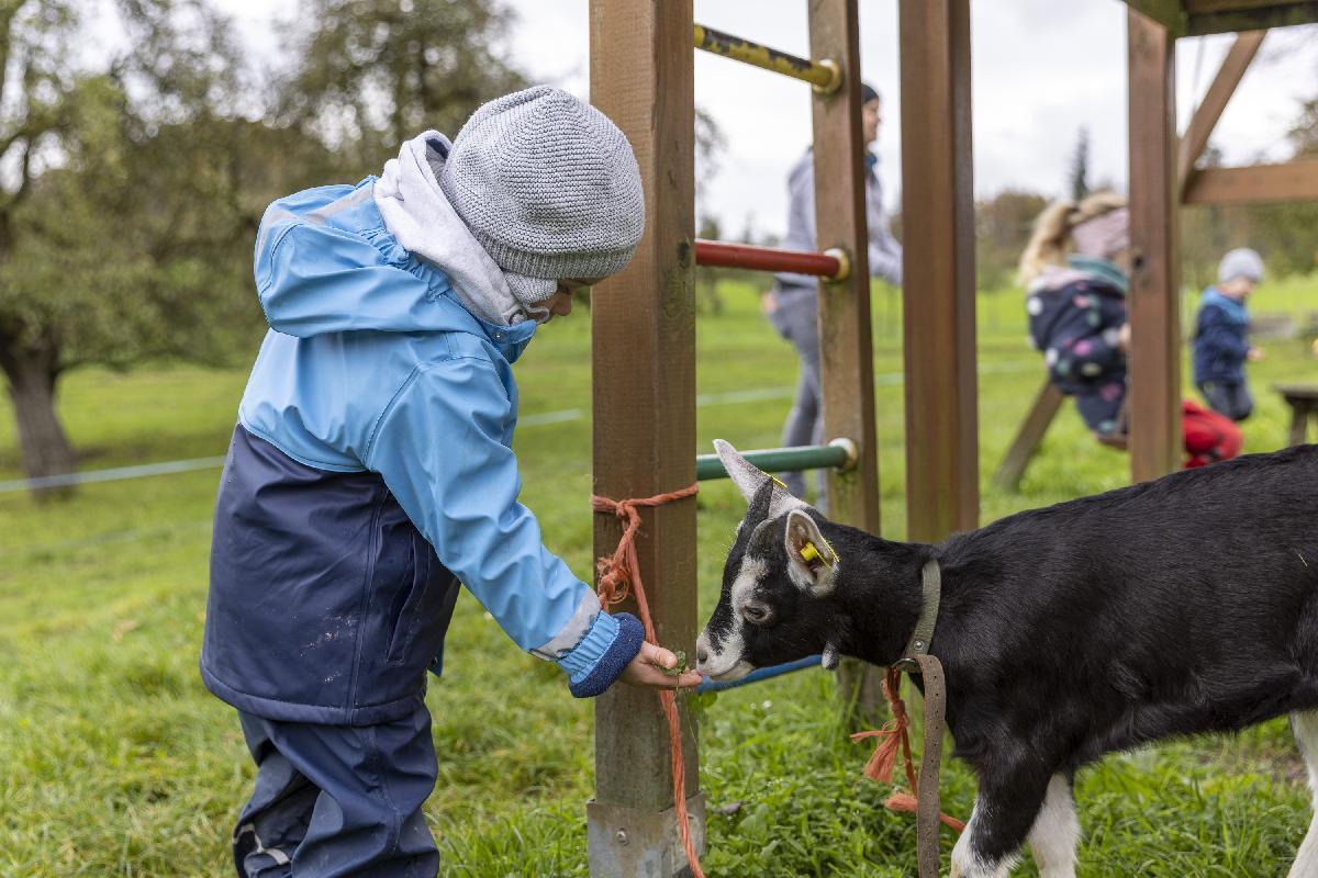 Bauernhofspielgruppe Steinenbühl