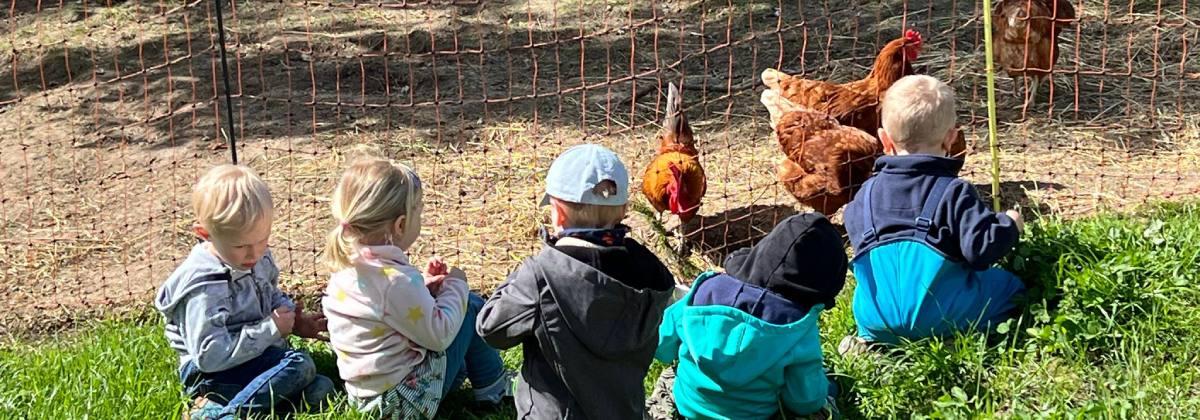 Bauernhofspielgruppe Steinenbühl