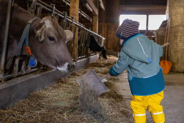 kuehe-fuettern-im-stall-1200x800_46.jpg