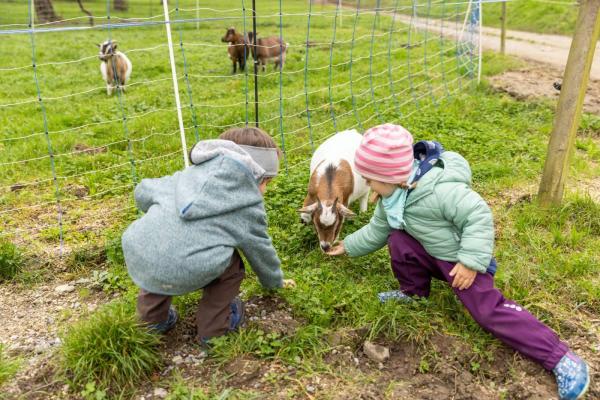 kinder-mit-ziegen-1200x800_68.jpg