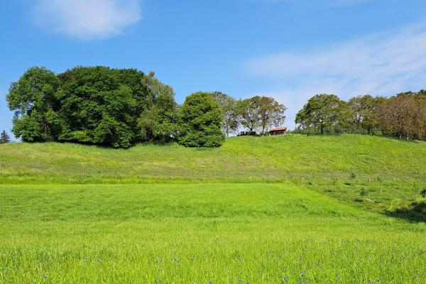 steinenbuehl-umgebung-weide-sommer-1200x800_55.jpg